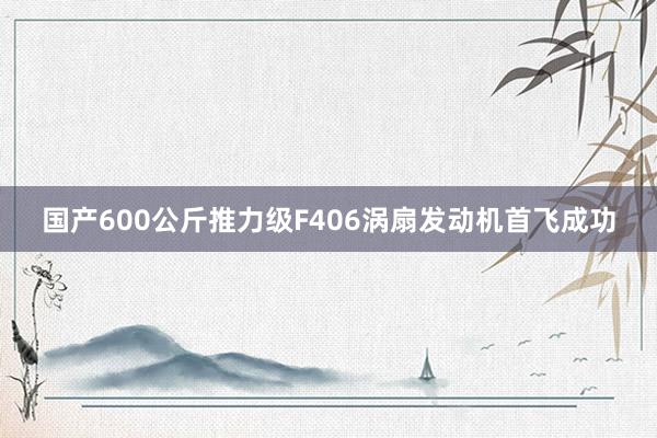 国产600公斤推力级F406涡扇发动机首飞成功
