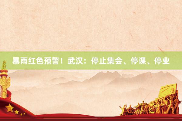 暴雨红色预警！武汉：停止集会、停课、停业