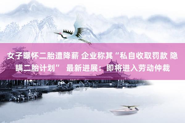 女子曝怀二胎遭降薪 企业称其“私自收取罚款 隐瞒二胎计划”  最新进展：即将进入劳动仲裁