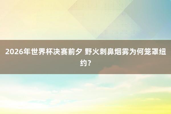 2026年世界杯决赛前夕 野火刺鼻烟雾为何笼罩纽约？