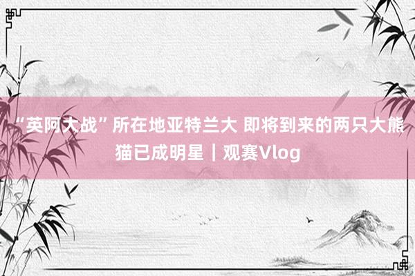 “英阿大战”所在地亚特兰大 即将到来的两只大熊猫已成明星｜观赛Vlog