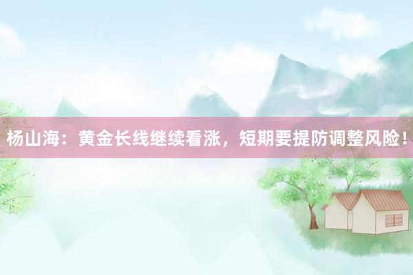 杨山海：黄金长线继续看涨，短期要提防调整风险！
