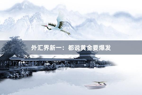 外汇界新一：都说黄金要爆发