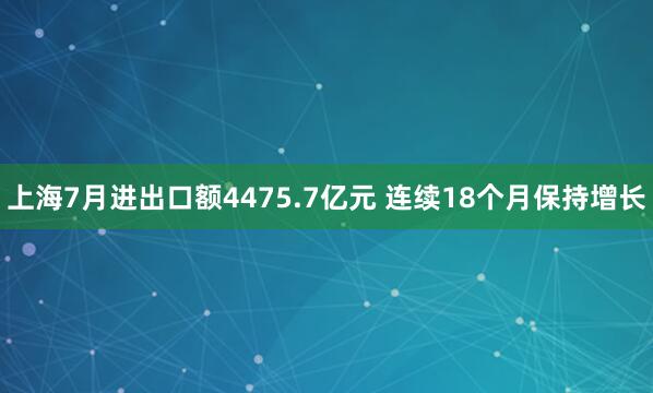 上海7月进出口额4475.7亿元 连续18个月保持增长