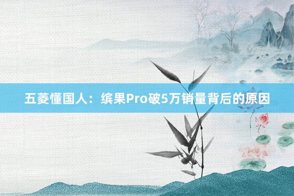 五菱懂国人：缤果Pro破5万销量背后的原因