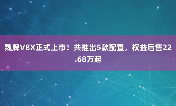 魏牌V8X正式上市！共推出5款配置，权益后售22.68万起