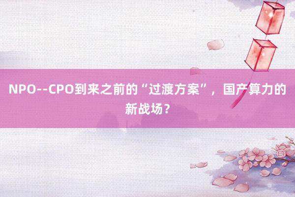 NPO--CPO到来之前的“过渡方案”，国产算力的新战场？
