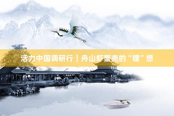 活力中国调研行｜舟山虾蟹壳的“锂”想
