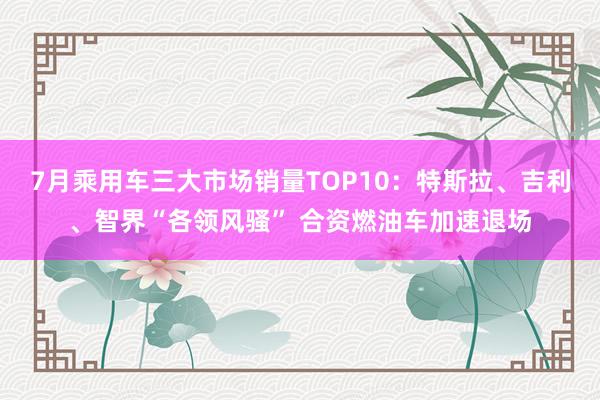 7月乘用车三大市场销量TOP10：特斯拉、吉利、智界“各领风骚” 合资燃油车加速退场