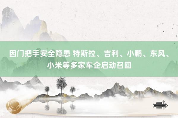 因门把手安全隐患 特斯拉、吉利、小鹏、东风、小米等多家车企启动召回