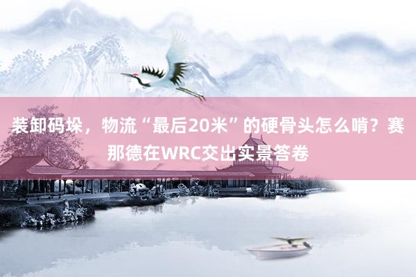 装卸码垛，物流“最后20米”的硬骨头怎么啃？赛那德在WRC交出实景答卷