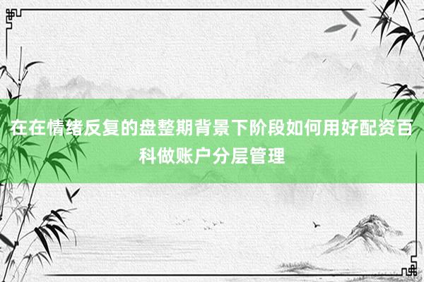 在在情绪反复的盘整期背景下阶段如何用好配资百科做账户分层管理