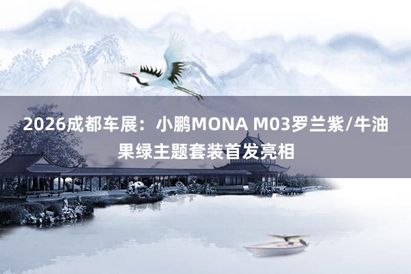 2026成都车展：小鹏MONA M03罗兰紫/牛油果绿主题套装首发亮相
