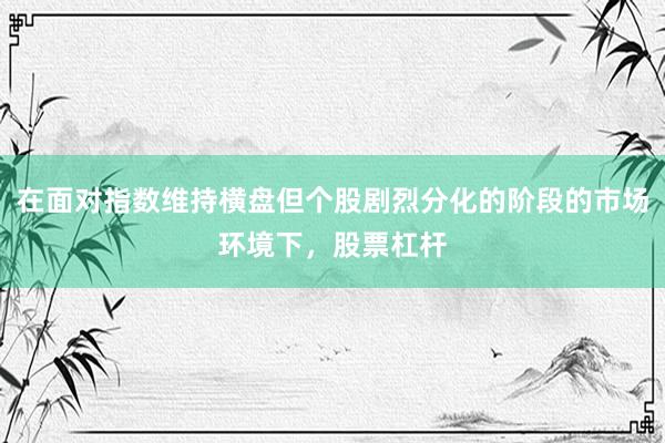 在面对指数维持横盘但个股剧烈分化的阶段的市场环境下，股票杠杆