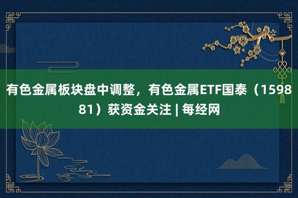 有色金属板块盘中调整，有色金属ETF国泰（159881）获资金关注 | 每经网