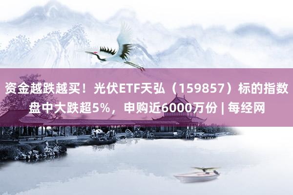资金越跌越买！光伏ETF天弘（159857）标的指数盘中大跌超5%，申购近6000万份 | 每经网