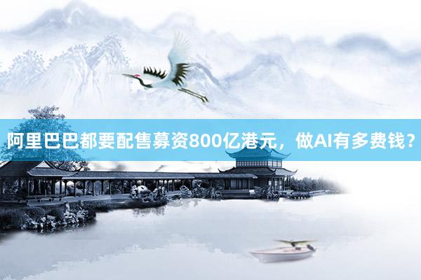 阿里巴巴都要配售募资800亿港元，做AI有多费钱？