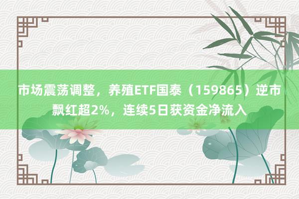 市场震荡调整，养殖ETF国泰（159865）逆市飘红超2%，连续5日获资金净流入