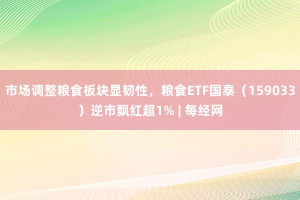 市场调整粮食板块显韧性，粮食ETF国泰（159033）逆市飘红超1% | 每经网