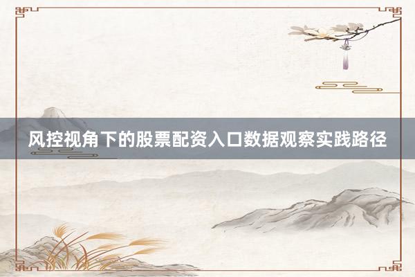 风控视角下的股票配资入口数据观察实践路径