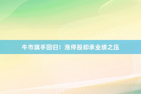 牛市旗手回归！涨停股却承业绩之压