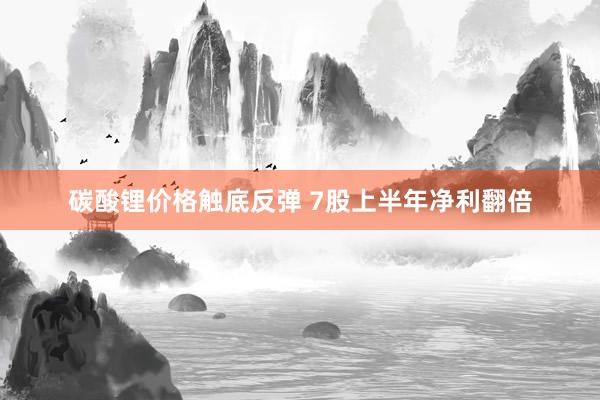碳酸锂价格触底反弹 7股上半年净利翻倍