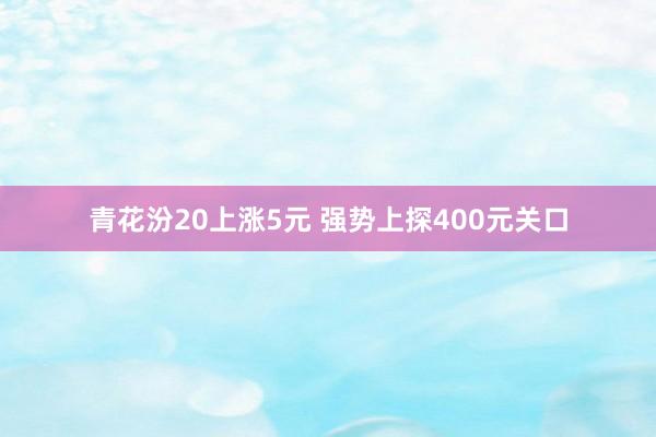 青花汾20上涨5元 强势上探400元关口