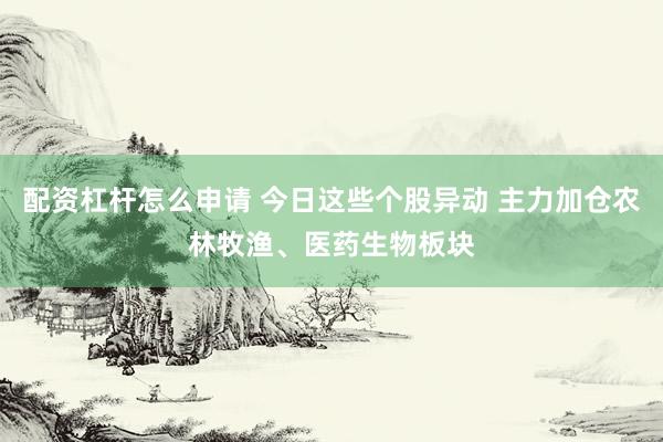 配资杠杆怎么申请 今日这些个股异动 主力加仓农林牧渔、医药生物板块