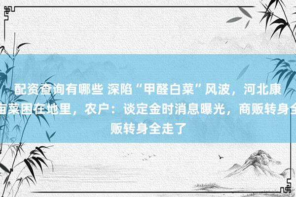 配资查询有哪些 深陷“甲醛白菜”风波,河北康保万亩菜困在地里,农户:谈定金时消息曝光,商贩转身全走了