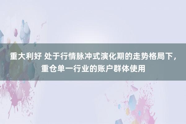 重大利好 处于行情脉冲式演化期的走势格局下,重仓单一行业的账户群体使用