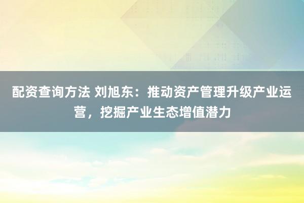 配资查询方法 刘旭东：推动资产管理升级产业运营，挖掘产业生态增值潜力
