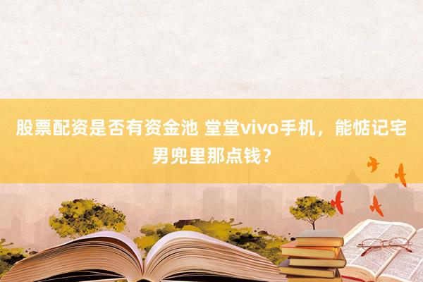 股票配资是否有资金池 堂堂vivo手机，能惦记宅男兜里那点钱？