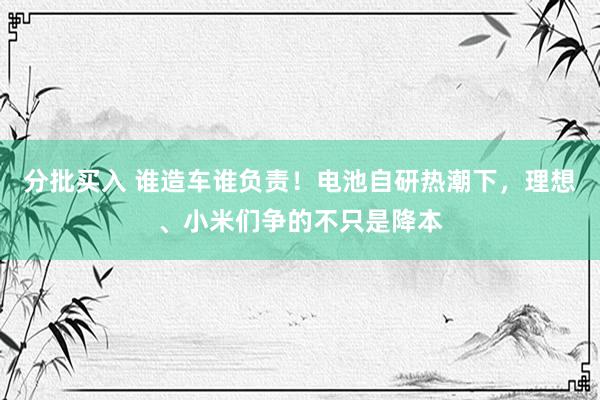 分批买入 谁造车谁负责！电池自研热潮下，理想、小米们争的不只是降本